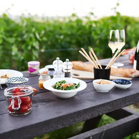 Bed & Breakfast Le Clos Des Terres Soudees - Les Collectionneurs Vrigny (Marne)