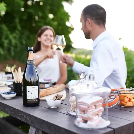 Frühstückspension Le Clos Des Terres Soudees - Les Collectionneurs Vrigny (Marne)