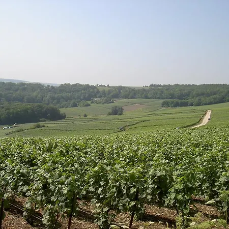 Le Clos Des Terres Soudees - Les Collectionneurs Bed & Breakfast